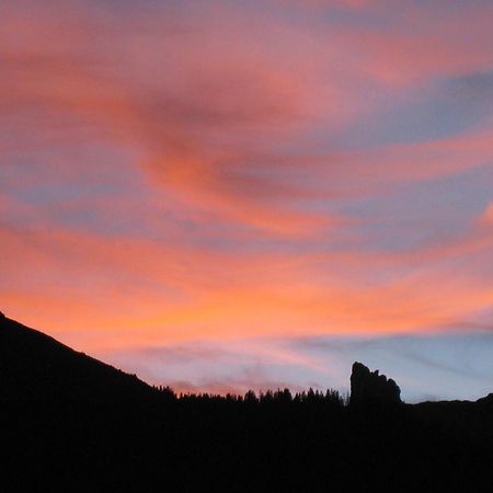 Chalet Protea Wengen Dış mekan fotoğraf