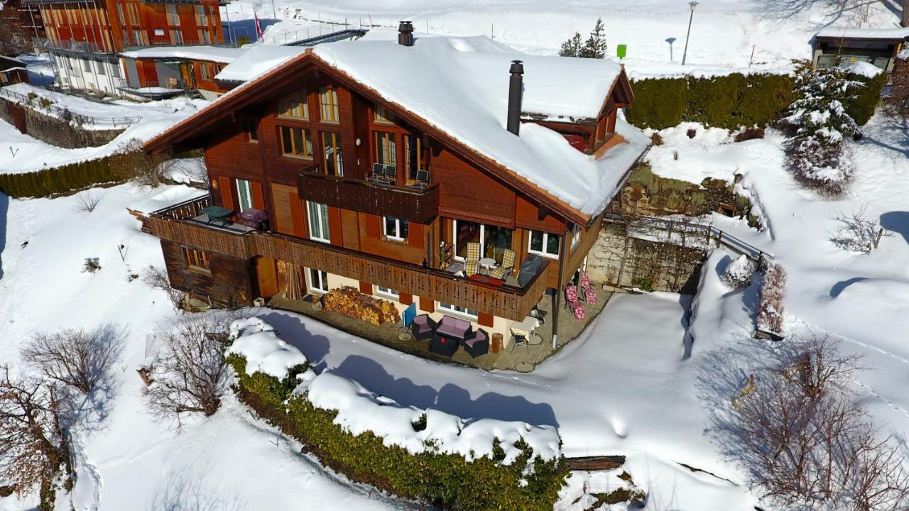 Chalet Protea Wengen Dış mekan fotoğraf