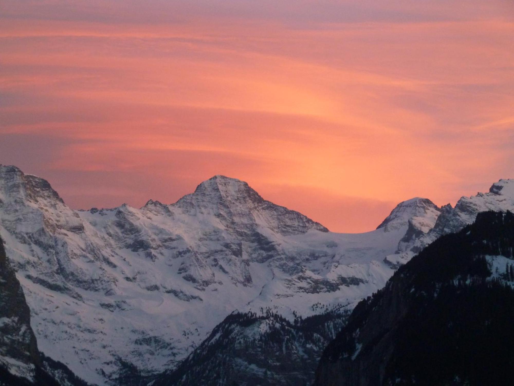 Chalet Protea Wengen Dış mekan fotoğraf