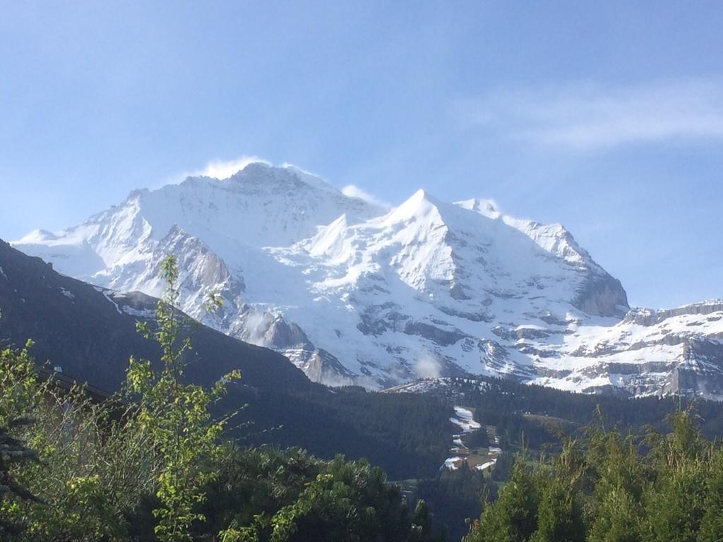 Chalet Protea Wengen Oda fotoğraf