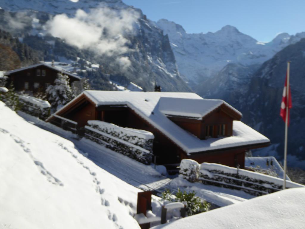 Chalet Protea Wengen Dış mekan fotoğraf