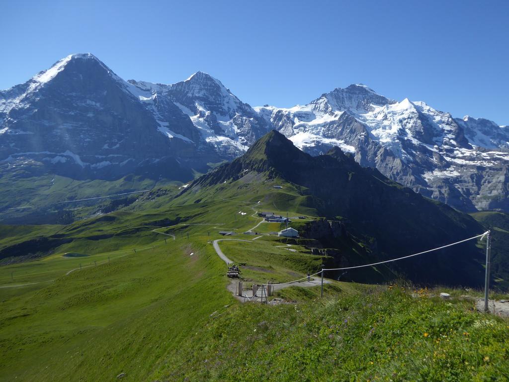 Chalet Protea Wengen Dış mekan fotoğraf